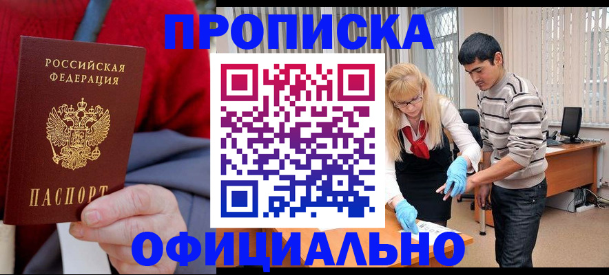 прописка поиск в Тольятти
